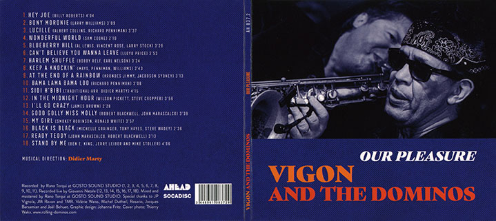 vigon and the dominos cd our pleasure cover out